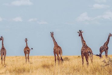 5 things you need to know when choosing an enterprise system